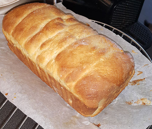 Brioche au companion Brioche-au-companion