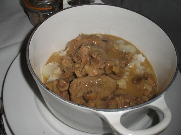 Blanquette-de-poulet-rapide-et-copieuse-(companion)