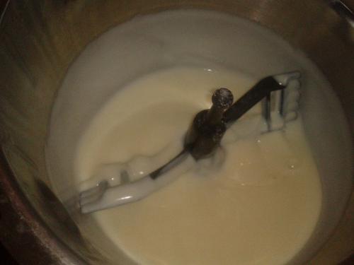 Bechamel-light-(sandrac)-companion