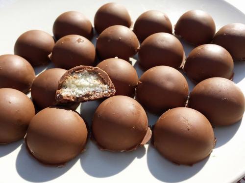 Bounty maison (elodien)-companion Bounty-maison-(elodien)-companion