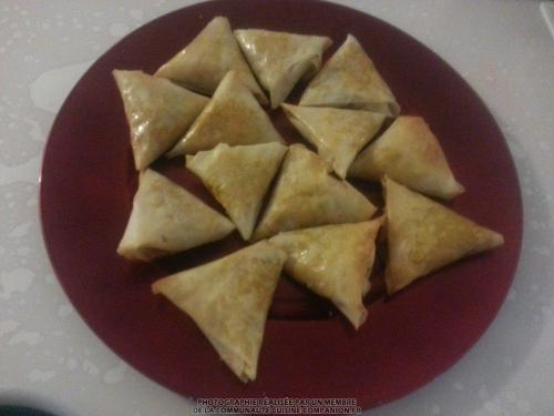 Bricks à la viande hachée épicée (nathalieg)-companion Bricks-à-la-viande-hachée-épicée-(nathalieg)-companion