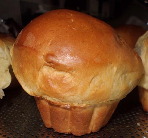 Brioche (matleotim)-companion Brioche-(matleotim)-companion