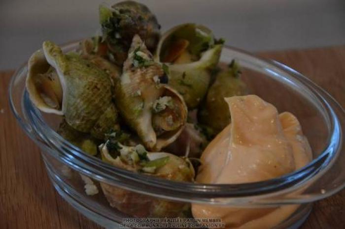 Bulots à l’ail et au romarin (maëvab)-companion Bulots-à-l’ail-et-au-romarin-(maëvab)-companion