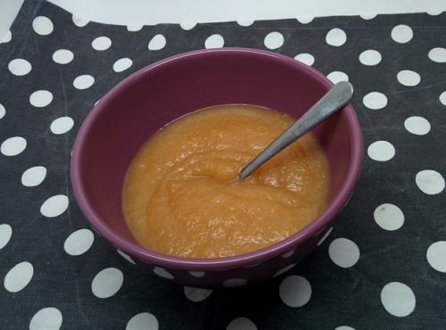 Compote-pomme-–-poire-–-vanille-(soniab)-companion