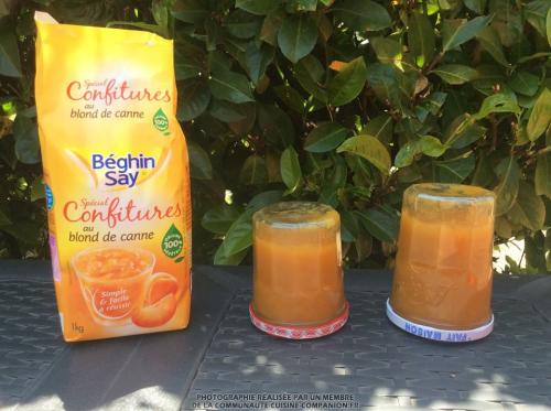 Confiture-de-pêches-(martinen)-companion