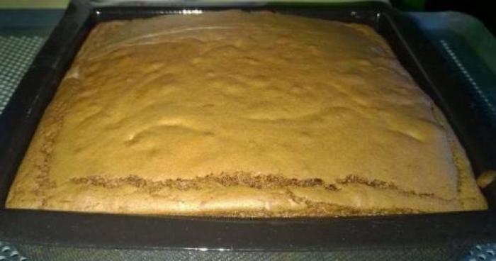 Corsico-chocolat-(stephaner41)-companion