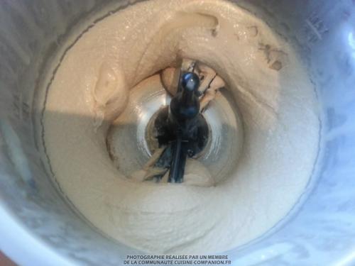 Crème-glacée-au-spéculoos-(auréliel)-companion