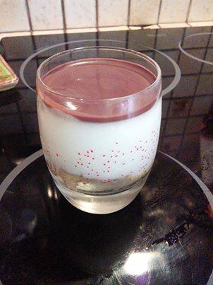 Entremet-chocolat-noix-de-coco-(Kina)-companion