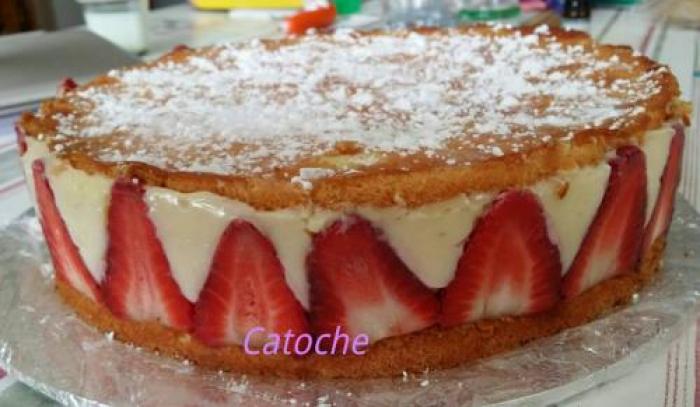Fraisier (catoche)-companion Fraisier-(catoche)-companion