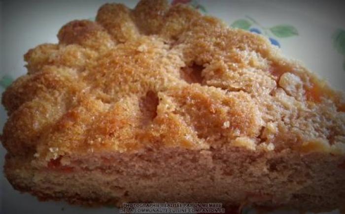 Gâteau-moelleux-au-chocolat-praliné-et-à-l’abricot-(séverines)-companion