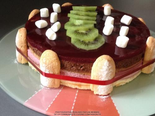 Gâteau mousse framboise, mousse chocolat, miroir framboise (valérie cuisine)-companion Gâteau-mousse-framboise,-mousse-chocolat,-miroir-framboise-(valérie-cuisine)-companion
