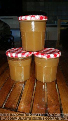 Gelée-de-pommes-avec-épluchures-et-trognons-(maudl)-companion