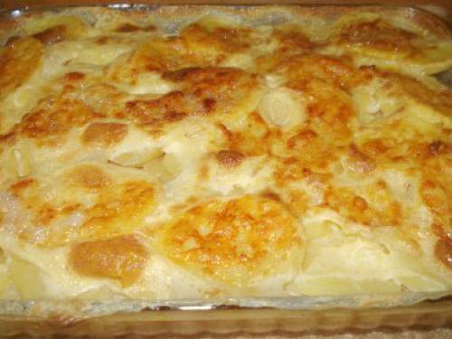 Gratin de pâtisson (raphy)-companion Gratin-de-pâtisson-(raphy)-companion