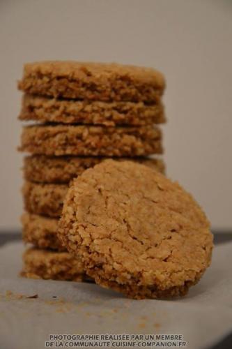 Hobnobs-(maëvab)-companion