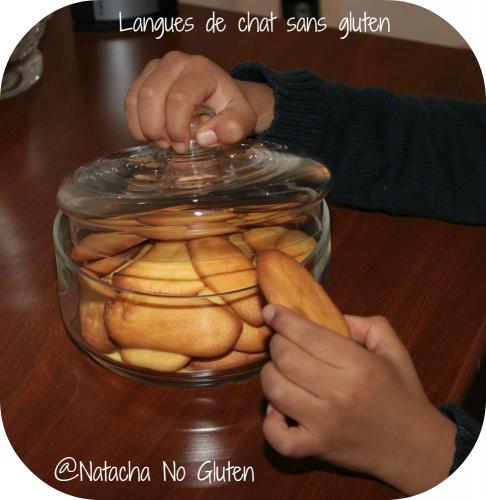 Langues-de-chat-sans-gluten-(natacha)-companion