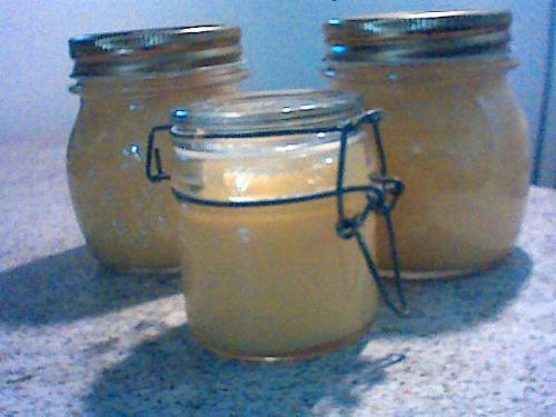Lemon-curd-light-(mimdick)-companion