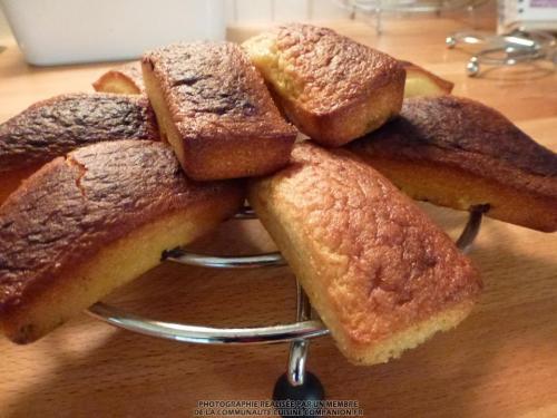 Madeleines aux pépites de chocolat (christel)-companion Madeleines-aux-pépites-de-chocolat-(christel)-companion