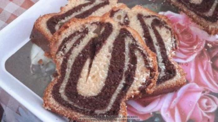 Marbré au chocolat (johanna)-companion Marbré-au-chocolat-(johanna)-companion