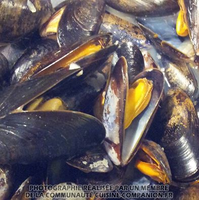 Moules-à-la-crème-(aso_alex)-companion