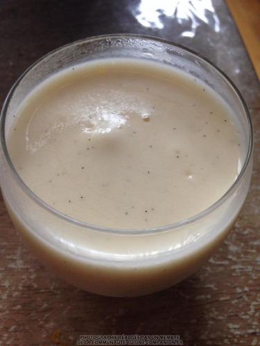 Mousse-à-la-vanille-(valvanille)-companion