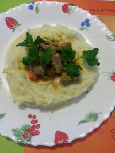 Navarin d’agneau aux légumes (séverines)-companion Navarin-d’agneau-aux-légumes-(séverines)-companion