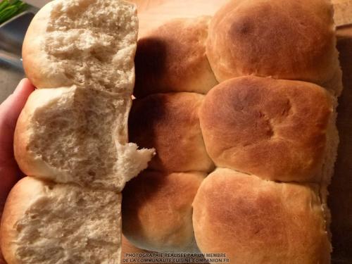 Pain ciabatta sur poolish (christel)-companion Pain-ciabatta-sur-poolish-(christel)-companion