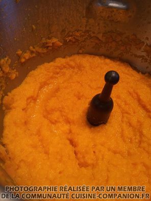 Purée de carottes (aso_alex)-companion Purée-de-carottes-(aso_alex)-companion