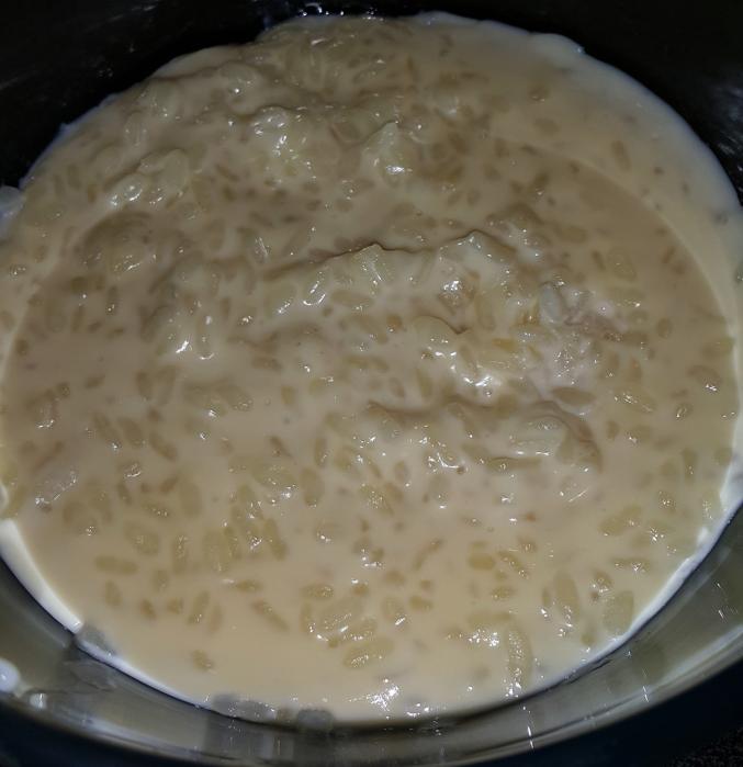 Riz-au-lait-(maëvab)-companion