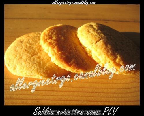 Sablés à la noisette sans protéine de lait de vache (vir ginie)-companion
