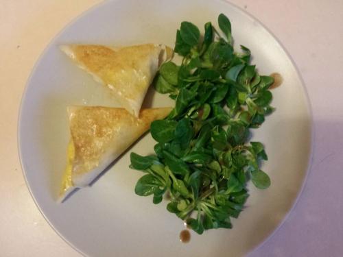 Samoussas de poulet au curry au four (elodien)-companion Samoussas-de-poulet-au-curry-au-four-(elodien)-companion