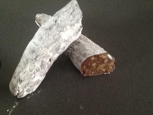 Saucisson-au-chocolat-(lilo)-companion