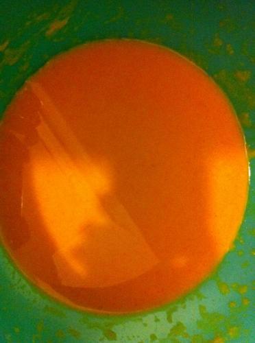 Velouté-de-potimarron-(delph)-companion