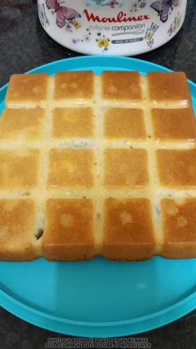 Gâteau-au-yaourt,-kiwi-et-fleur-d’oranger-(SéverineS)-companion