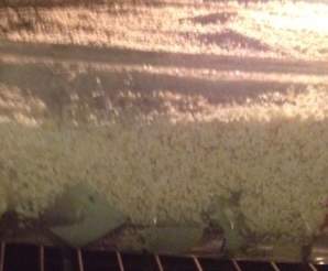 Crumble légumes d'hiver-thermomix Crumble-légumes-d'hiver-thermomix