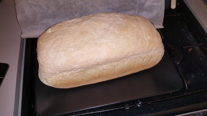 Pain blanc (companion) Pain-blanc-(companion)