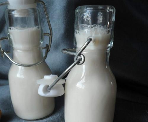 Lait-de-noisettes-thermomix