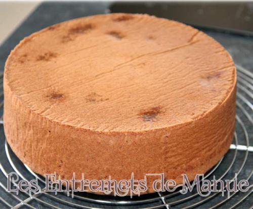 Molly cake-thermomix Molly-cake-thermomix