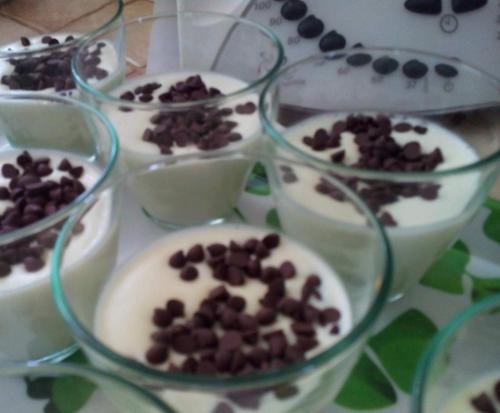 Petits flans légers menthe chocolat-thermomix Petits-flans-légers-menthe-chocolat-thermomix