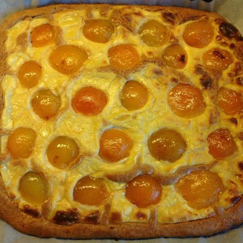 Tarte briochée aux abricots-thermomix Tarte-briochée-aux-abricots-thermomix