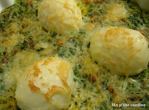 Epinard oeuf Epinard-oeuf