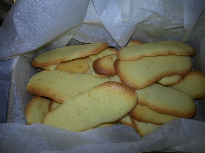 Langue de chat au companion Langue-de-chat-au-companion