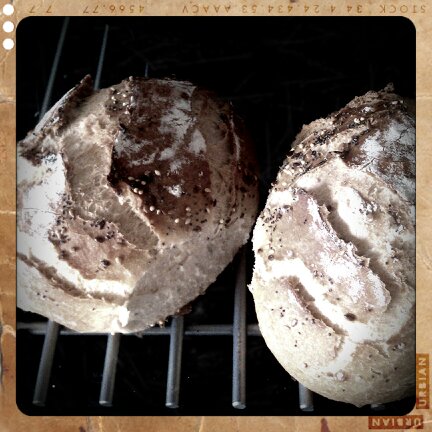 Pain à la cocotte-thermomix Pain-à-la-cocotte-thermomix