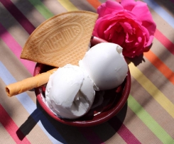 Crème glacée coco simplissime-thermomix Crème-glacée-coco-simplissime-thermomix