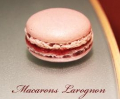 Macarons « larognon » (myrtilles-citron)-thermomix Macarons-«-larognon-»-(myrtilles-citron)-thermomix