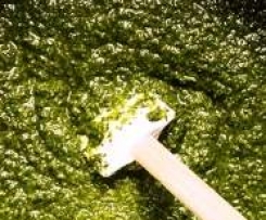 Pesto di cefalù (sicilia)-thermomix Pesto-di-cefalù-(sicilia)-thermomix