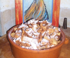 Oreillettes-thermomix Oreillettes-thermomix