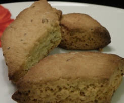 Canistrellis Canistrellis