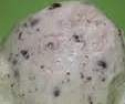Glace anti-gaspillage (chocos prince)